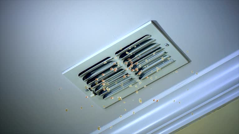 Best Affordable Duct Cleaning Services  in Ponchatou, LA