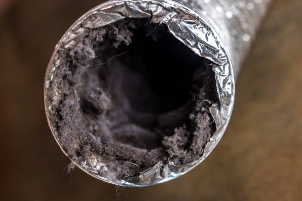 Best Home Air Vent Cleaning  in Ponchatou, LA