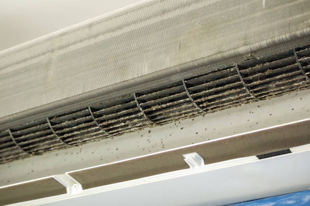 Best Affordable Duct Cleaning Services  in Ponchatou, LA