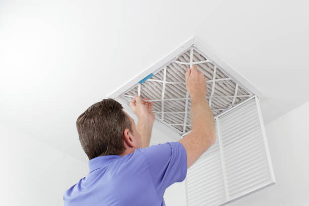 Best Local Air Duct Cleaning Services  in Ponchatou, LA